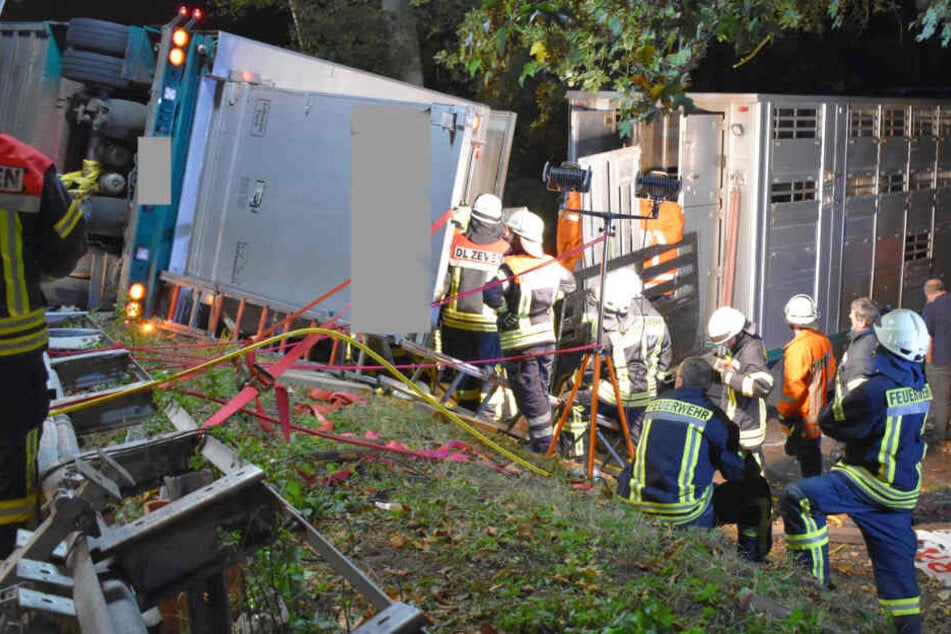 Feuerwehrleute laden die Schweine auf einen anderen Lastwagen um.