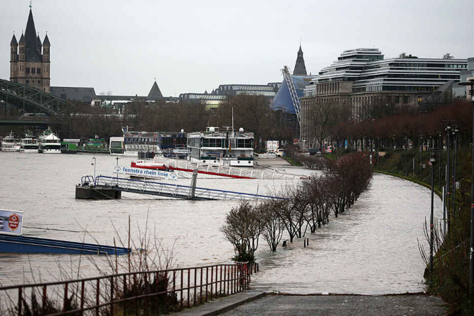 Köln droht wieder Überflutungen am Rheinufer.