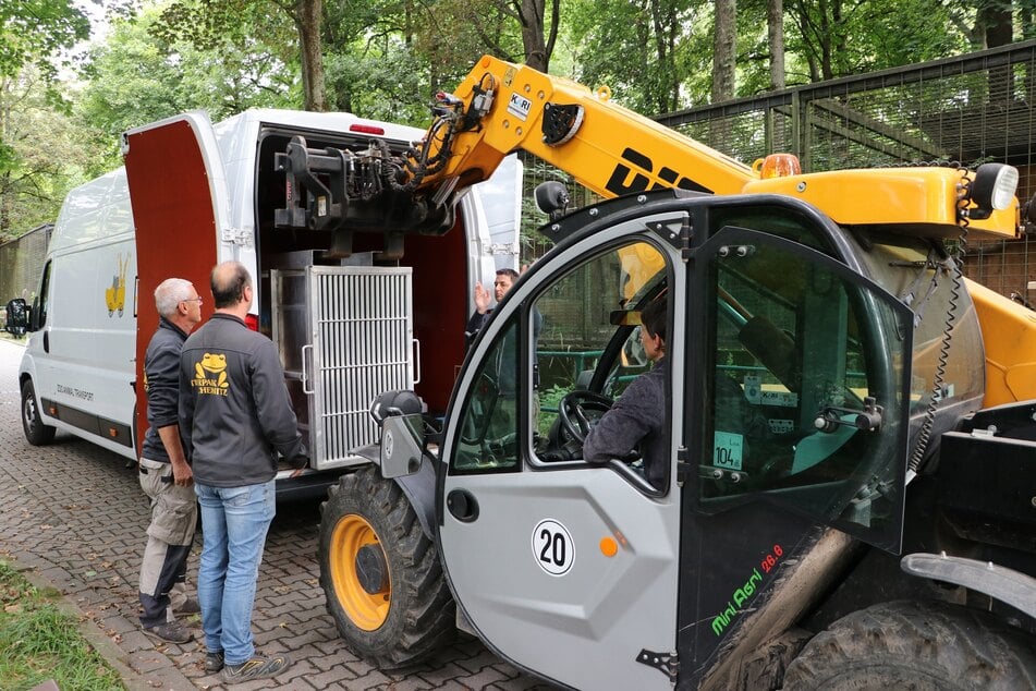 Der Umzug nach Leeuwarden findet in einer Transportkiste statt.