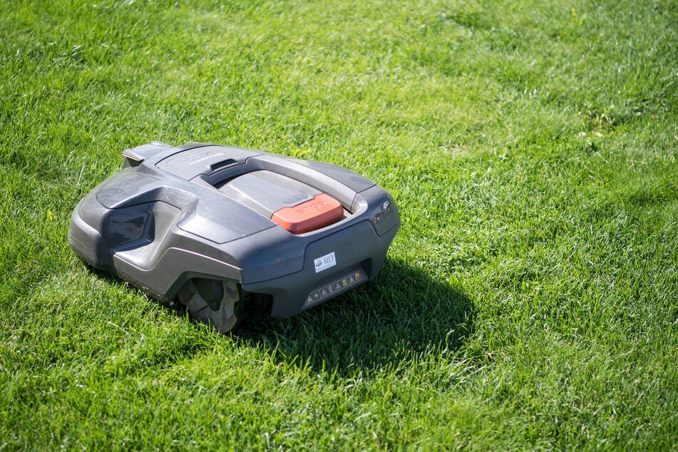 Mähroboter erkennen Igel oft nicht und können ihnen schlimme Verletzungen zufügen. (Symbolbild)