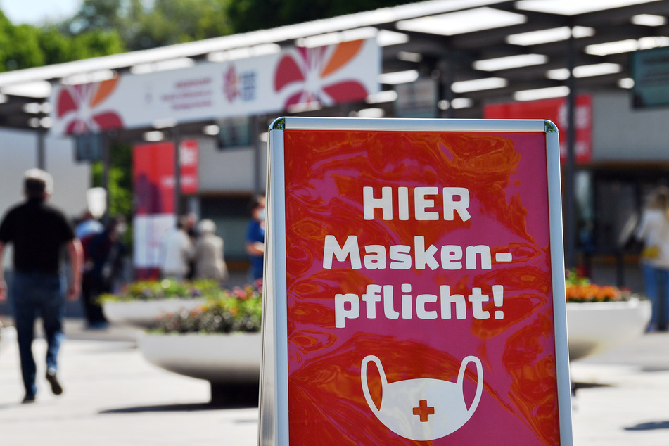 Seit 3. Juni dürfen Besucher der Bundesgartenschau in Erfurt auch das Wüsten- und Urwaldhaus Danakil erkunden.