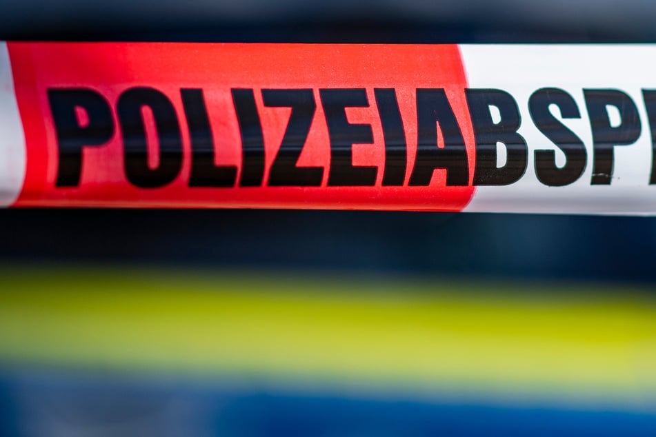 Sie wurde seit einer Woche vermisst: Frau (✝40) tot im Wald gefunden