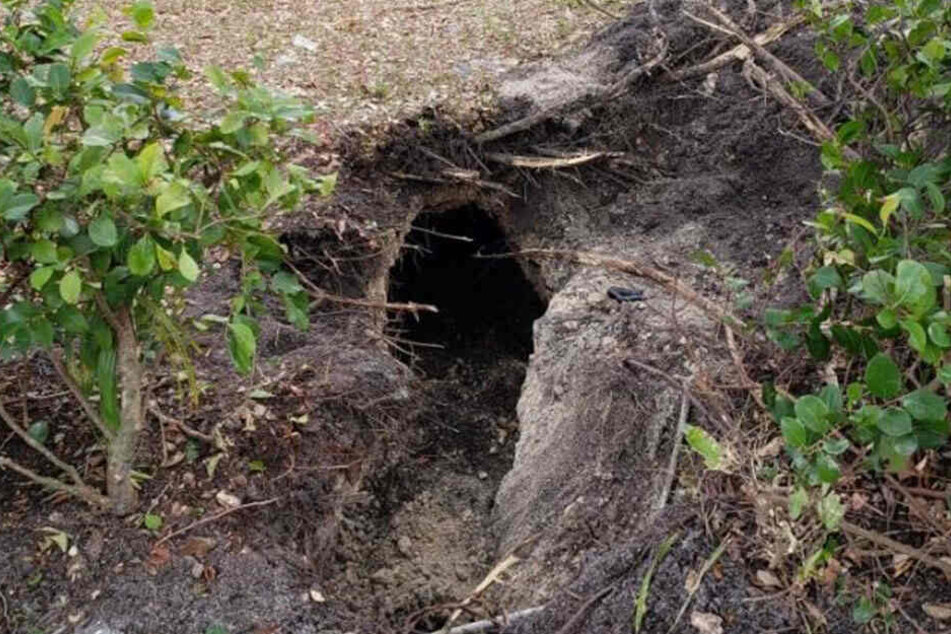 Unglaublich! In der US-amerikanischen Großstadt Pembroke Pines ist die Polizei in einem Waldstück auf einen Tunnel gestoßen.