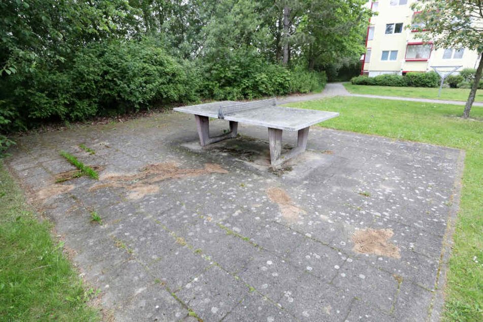 Unweit der Fundstelle wurde Blut nahe einer Tischtennisplatte gefunden, das nun mit Sand abgedeckt ist.