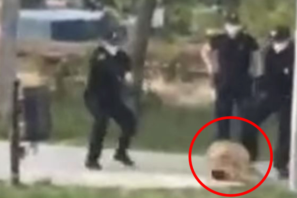 Die Polizisten kannten keine Gnade, schossen den Hund nieder.
