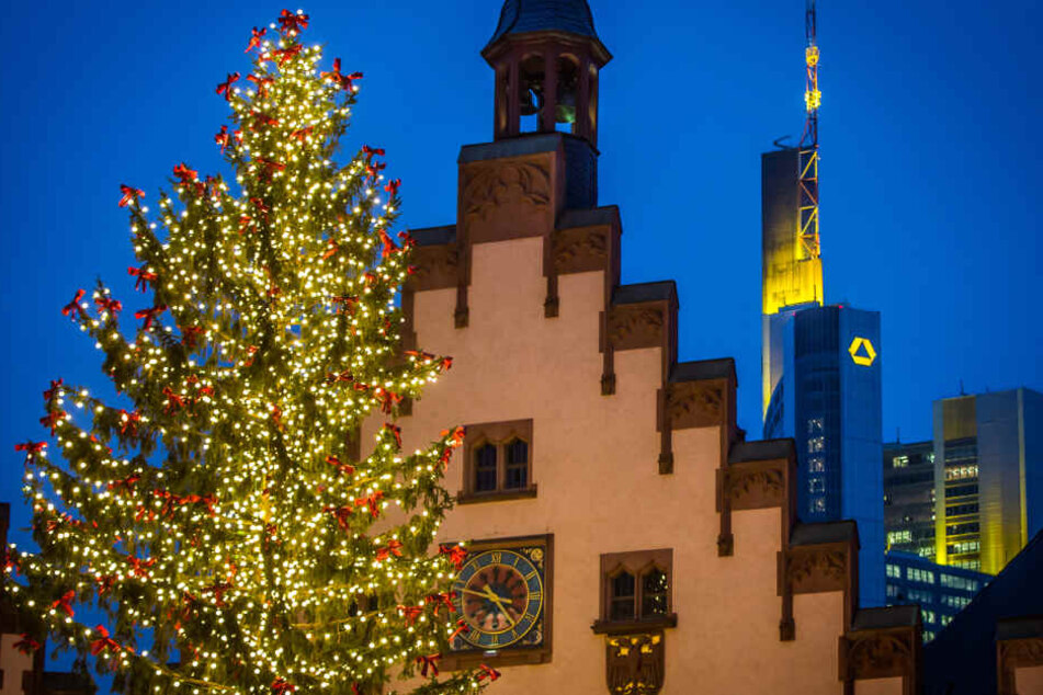 Uffbasse Heute Nimmt Frankfurts Weihnachtsbaum Seinen Platz Auf Dem Romer Ein Tag24