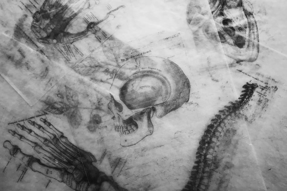 Oleh Karpa has covered his body in a radical tattoo representation of the human skeleton (stock image).