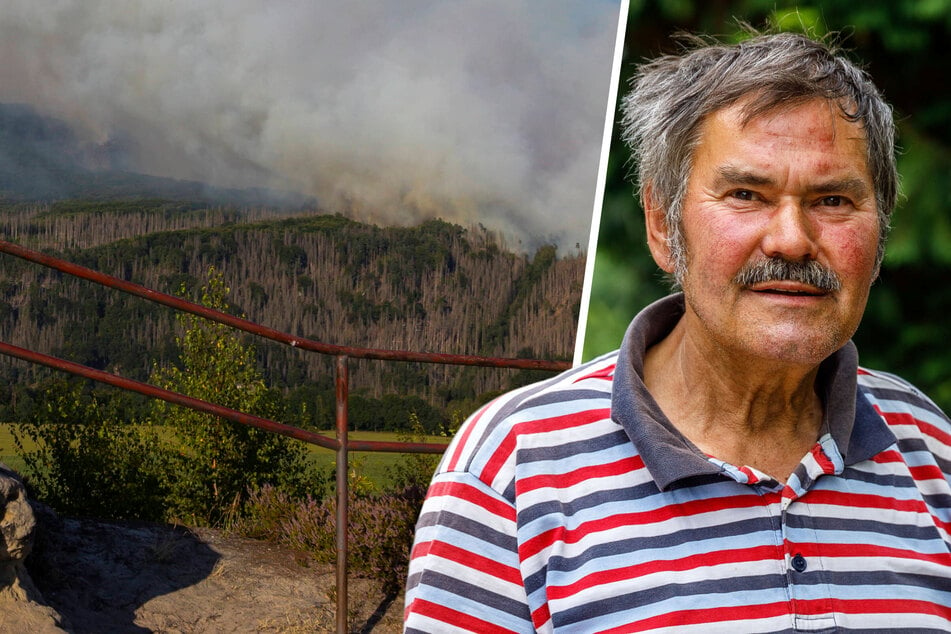 Waldbrand in Sächsischer Schweiz bereitet Sorgen: "Hätte nicht gedacht, dass es so schlimm wird"