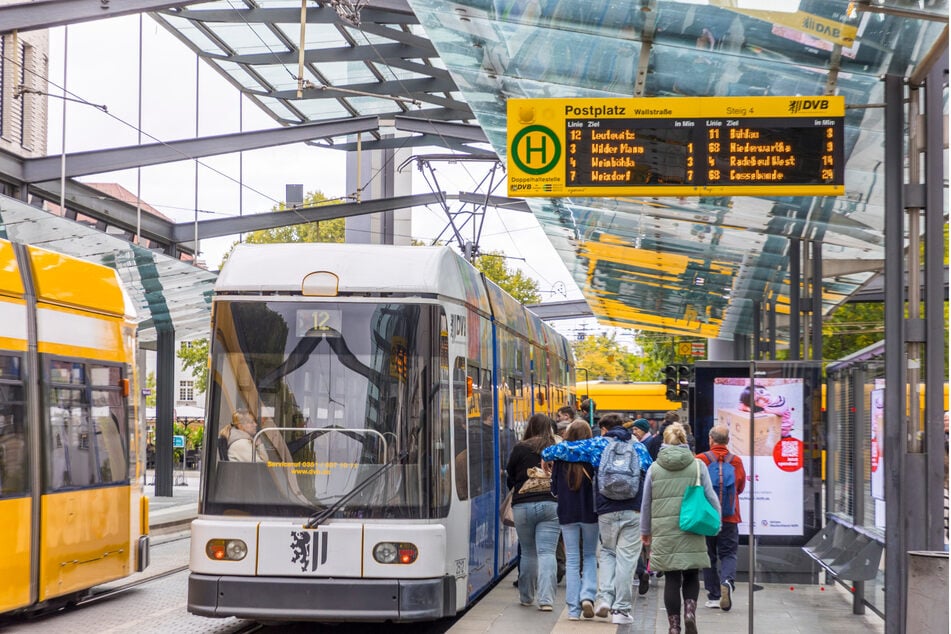 Täglich fahren hunderttausende Menschen mit Bussen und Bahnen der DVB.