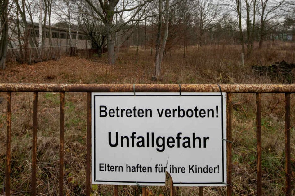 Wassersport statt Wildwuchs: Auf dem Grundstück Königsbrücker Landstraße 100 soll eine neue Schwimmhalle für den Dresdner Norden gebaut werden.