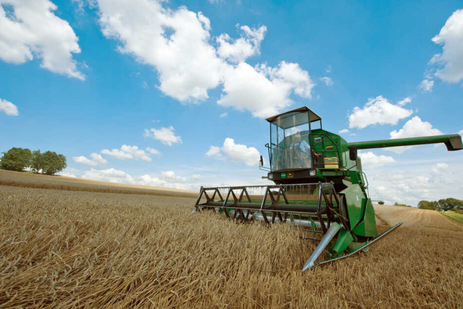 Der Landwirt fuhr mit seinem Mähdrescher unbeirrt weiter, nachdem er den Panzer angefahren hatte. (Symbolbild)