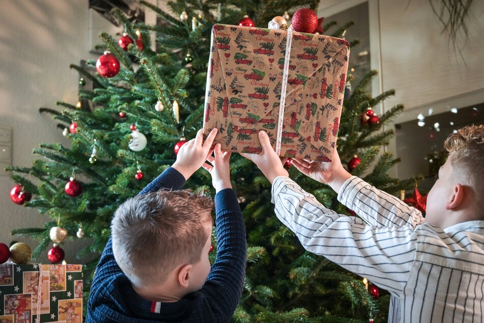 In Neubrandenburg wurden zahlreiche Keller aufgebrochen und ein Weihnachtsgeschenk eines Kindes geklaut. (Symbolbild)