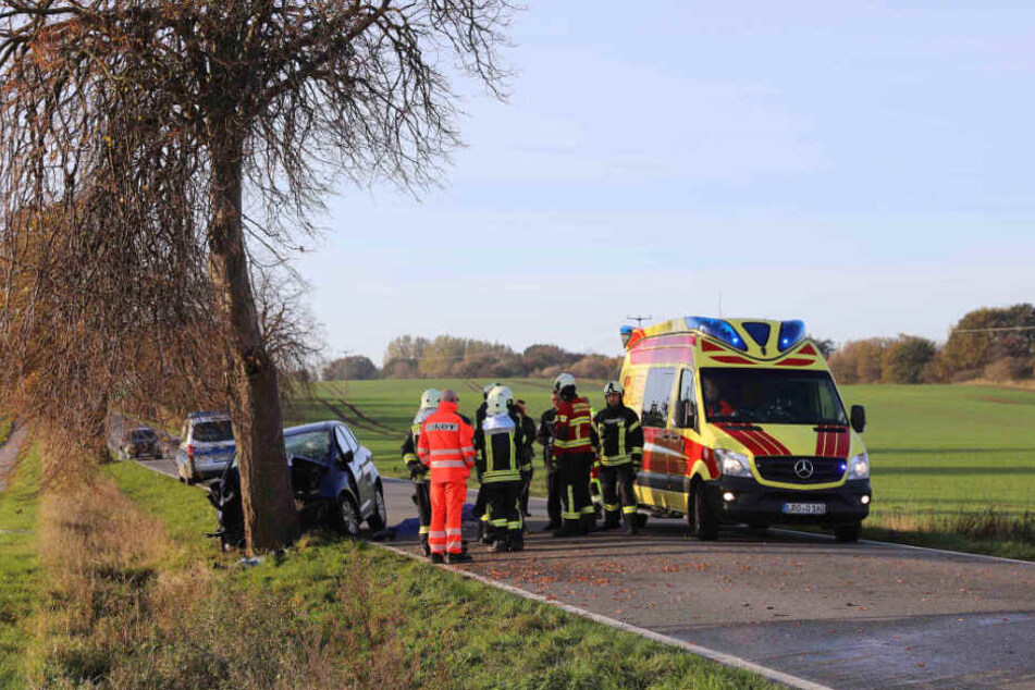 Die Rettungskräfte konnten den Fahrer nicht mehr retten.