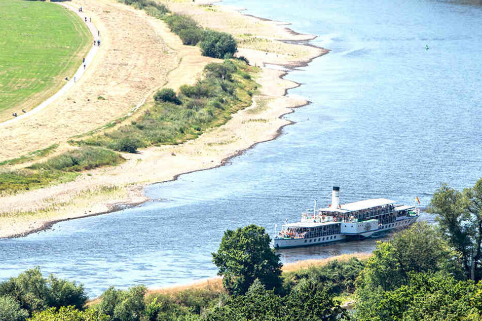 Vor allem das extreme Niedrigwasser der Elbe brachte die Weiße Flotte in große Not.
