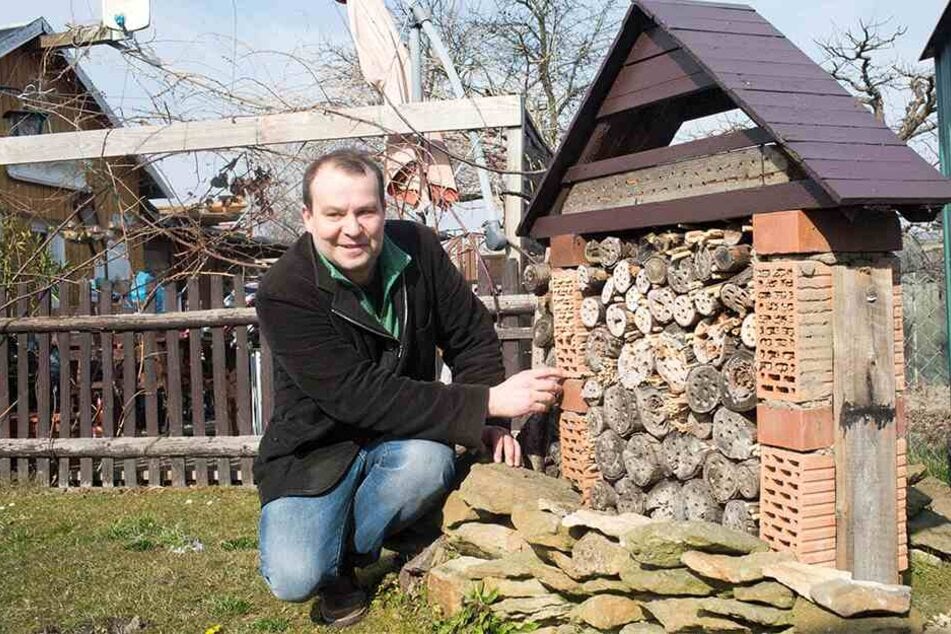Tino Lorz (43), Vorsitzender des Dresdner Imkervereins, möchte varroa-resistente Bienen züchten.