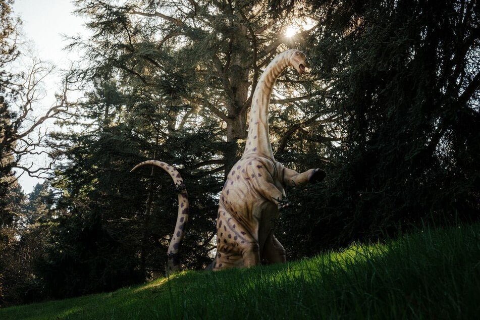 Auf der Insel Mainau ist ein Dinosaurier-Exponat in Lebensgröße zu sehen.