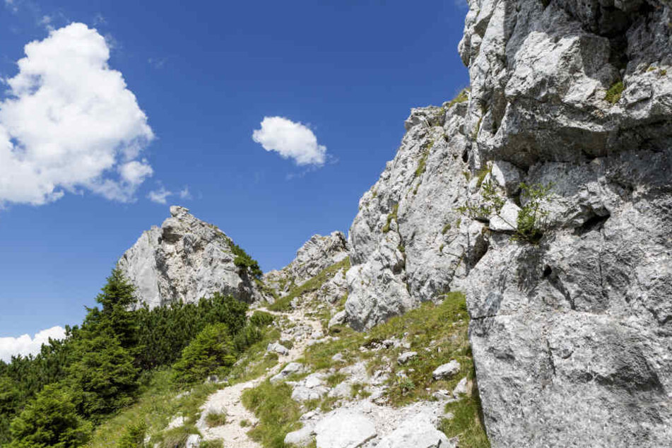 Ein Bergtour in den Alpen endete für einen 32-Jährigen tödlich. (Symbolbild)