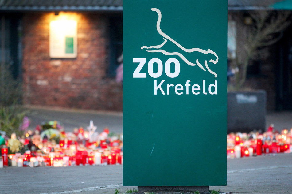 Im Krefelder Zoo hatte es in der Silvesternacht 2019/20 ein verheerendes Feuer gegeben. Damals brannte das Affenhaus vollständig aus. (Archivfoto)