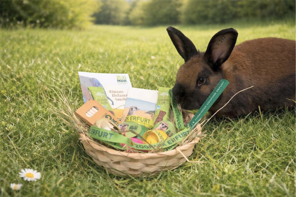 Ostern im Thüringer Zoopark Erfurt: Das wird Familien geboten