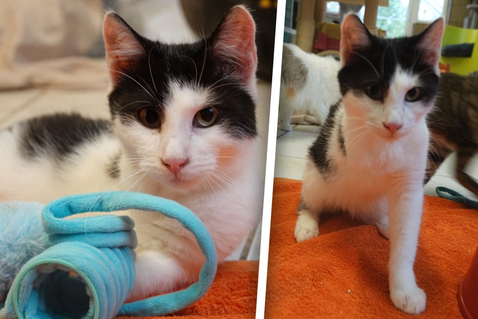 ... con una pequeña desventaja.