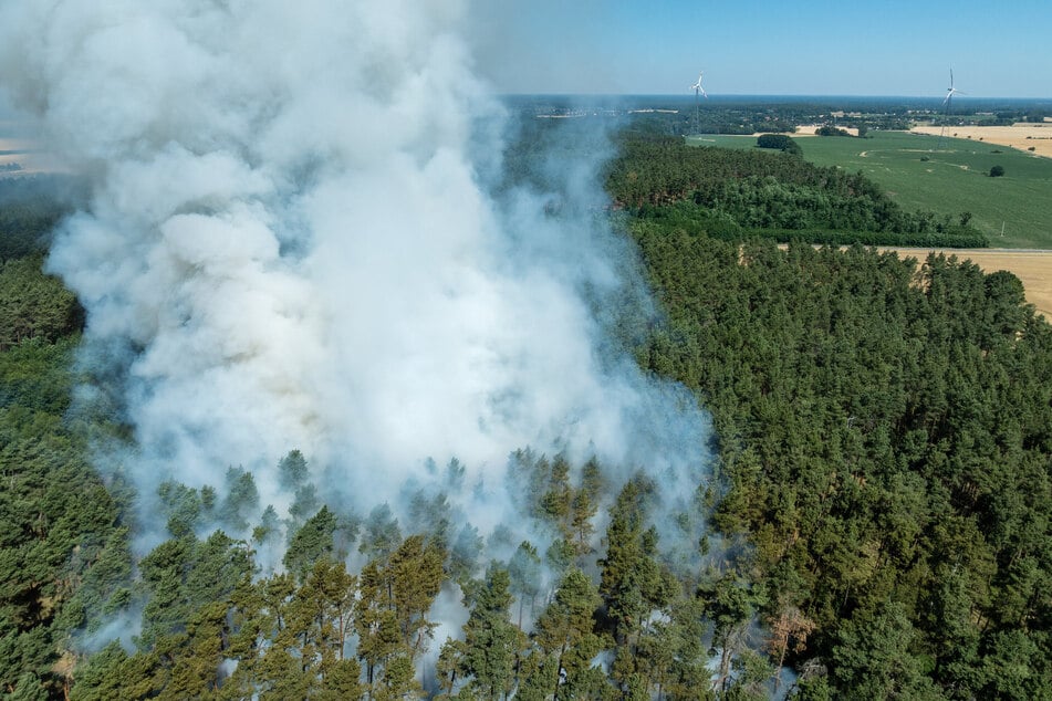 Wieder stehen Wälder in Brandenburg in Flammen