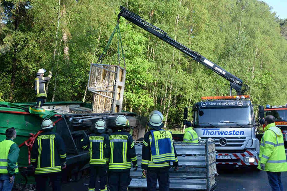 Die toten Hühner mussten vor der Bergung aus dem Anhänger herausgeholt werden.