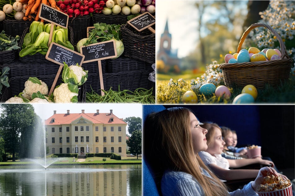 Dresden: 7 Tipps, falls Ihr am Sonntag noch nichts vorhabt!