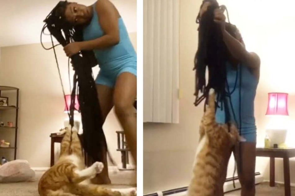 Cat got your braids? Hilarious hair mishap goes viral on TikTok