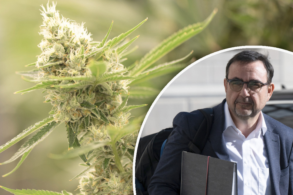Bayern stellt sich gegen Cannabis-Legalisierung und fordert EU-Veto