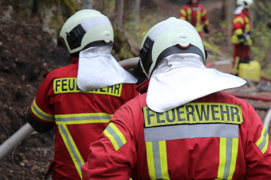 Beim Waldbrand im April waren hunderte Feuerwehrkameraden im Einsatz gewesen.