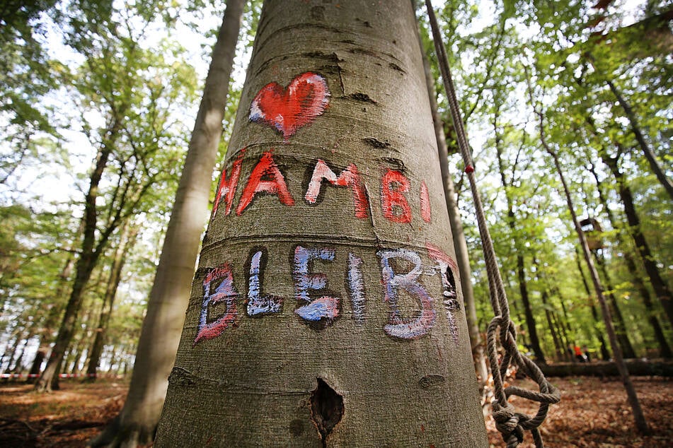 Am Hambacher Forst muss ein Protestcamp ("Hambi bleibt!") geräumt werden. (Archivbild)