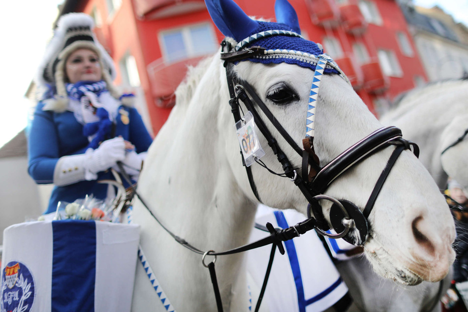 Köln: Neue Leitlinien für Reiter im Karneval: Kein Alkohol, Handy und Zigaretten auf dem Pferd