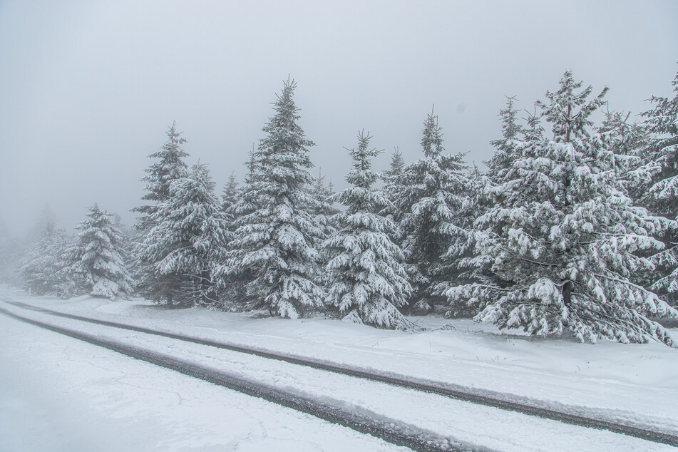 Wintereinbruch in Sachsen! Hier sind nochmal zehn Zentimeter Neuschnee gefallen!
