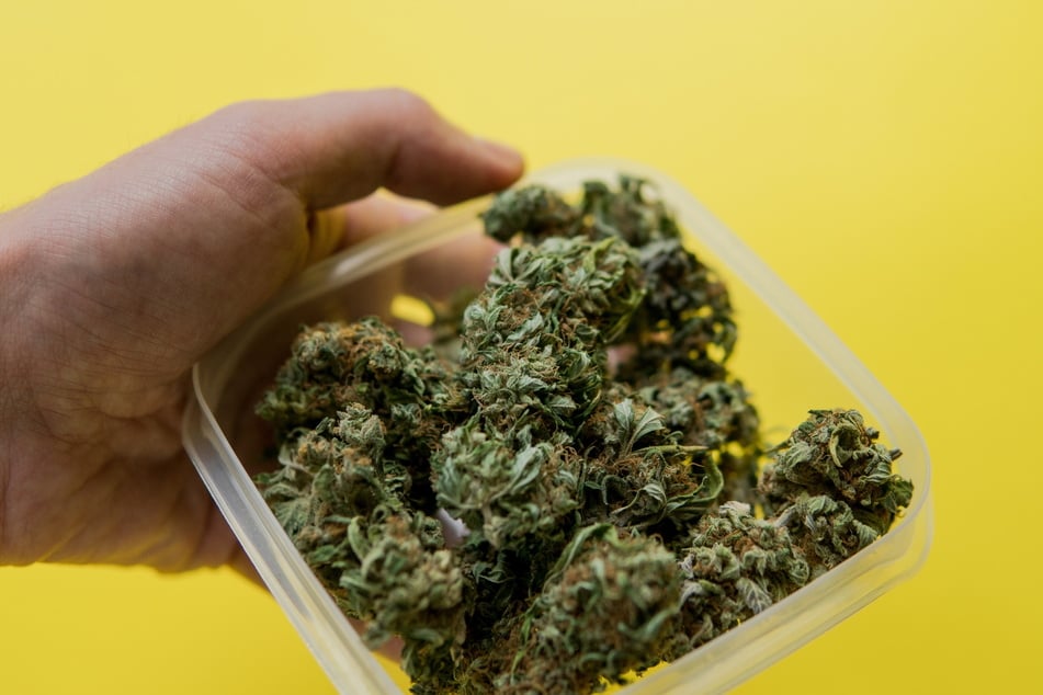 Der Angeklagte soll mit Marihuana gehandelt haben. (Symbolfoto)