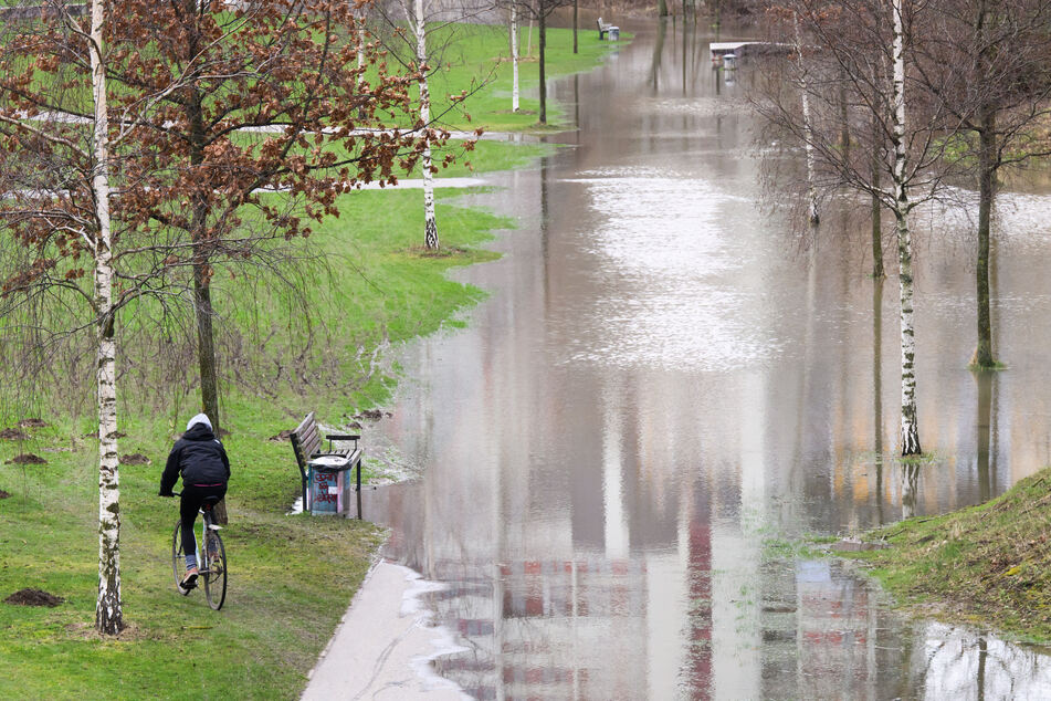 Ein typisches Bild der vergangenen Tage: Der Fluss Ihme ist in Hannover über die Ufer getreten und versperrt einer Fahrradfahrerin den Weg.