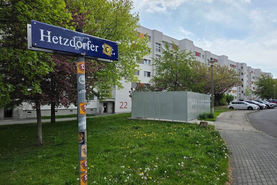 In der Hetzdorfer Straße trafen zwei Streithennen aufeinander.