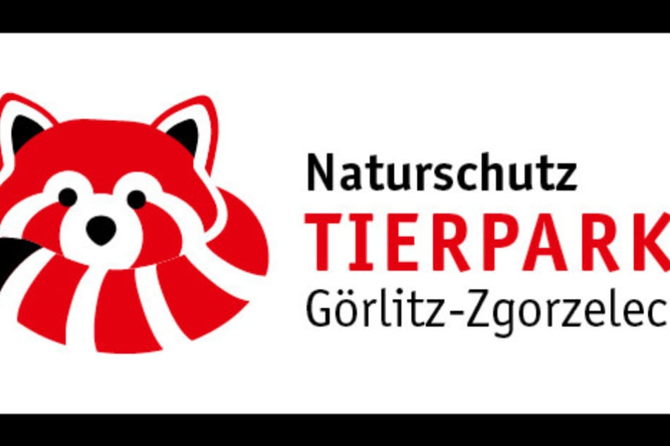 Im Naturschutz-Tierpark Görlitz-Zgorzelec gibt es am Sonntag viel zu erleben.