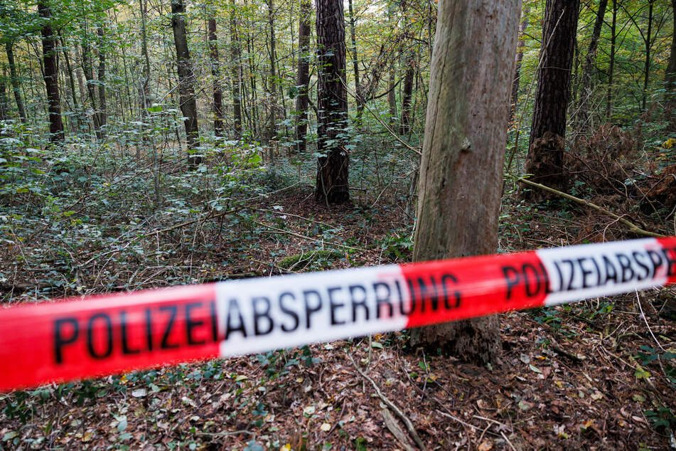 Im Mecklenheider Forst in Hannover fanden Pilzsammler am Dienstag den Leichnam eines Mannes. Es handelt sich um den vermissten Alan Andrés G.R. (21).