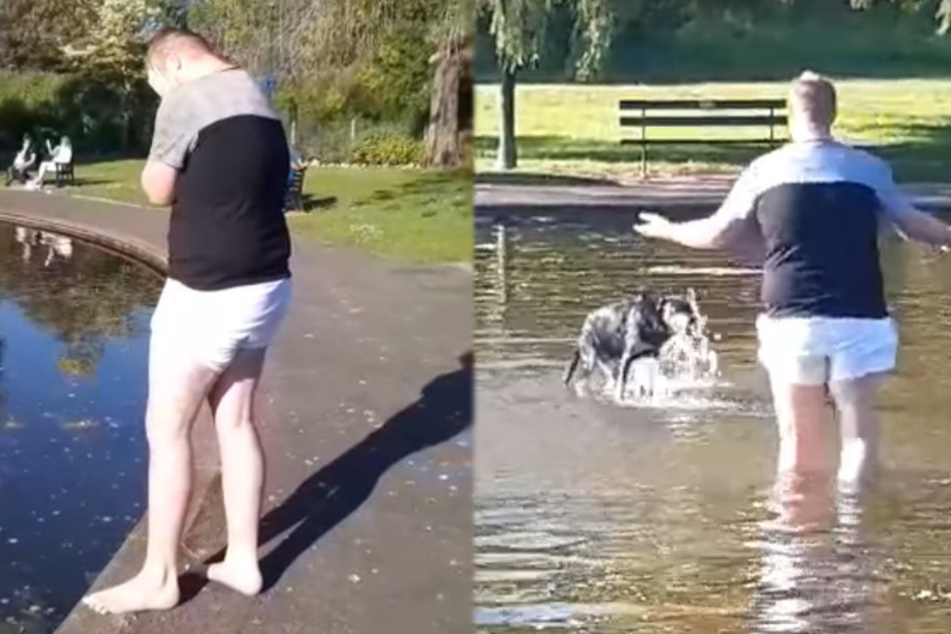 Millionen lachen sich schlapp: So herrlich führt dieser Hund sein Herrchen vor