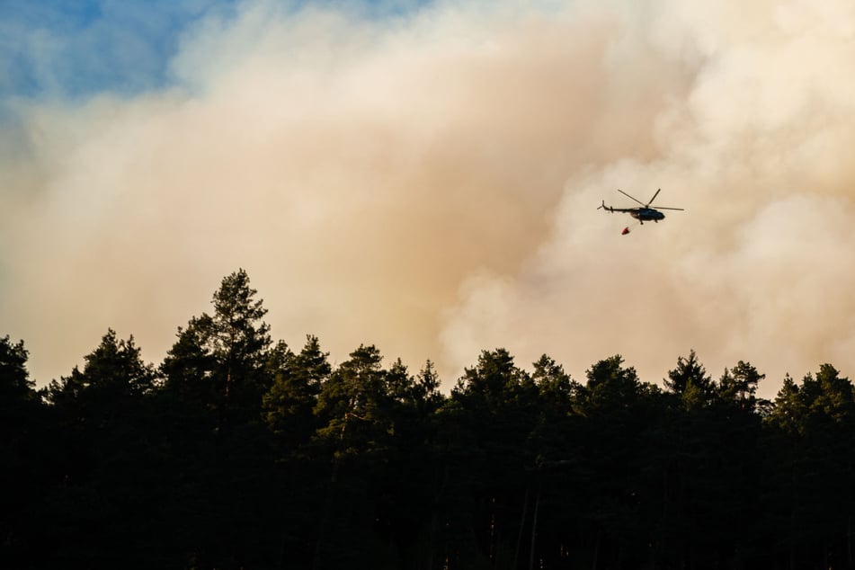 Waldbrand im Nationalpark lodert noch immer: Jetzt hoffen alle auf dasselbe