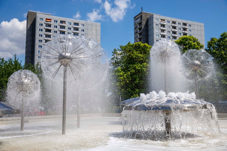 Mittlerweile laufen laut Verwaltung 46 der 71 Brunnen, wie die Pusteblumen am Albert-Wolf-Platz in Prohlis.