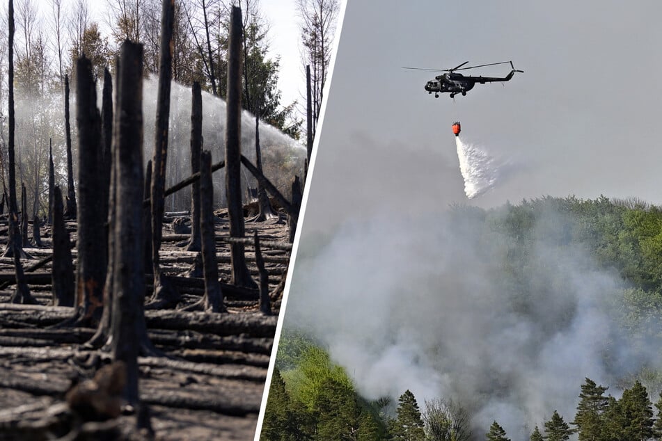 Zweimal höchste Warnstufe im Osten: Hier herrscht Waldbrandgefahr