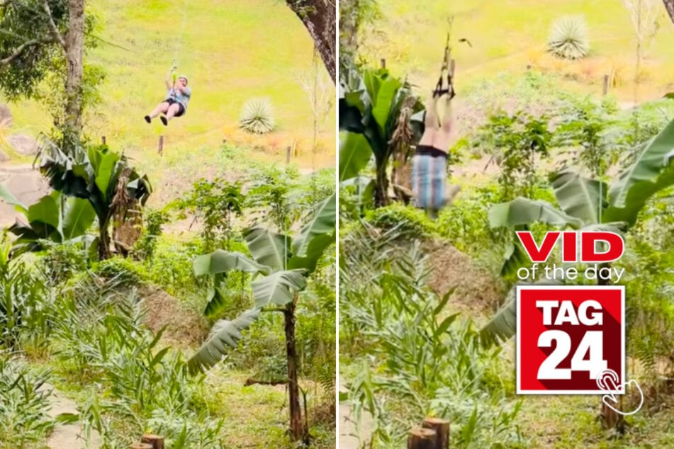 viral videos: Viral Video of the Day for July 1, 2025: Man dangles by feet in unbelievable zipline fail!