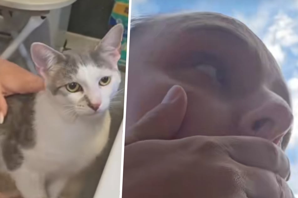 Kater Luco war seit diesem April verschwunden. Frauchen Joanne Goffey (27) verschlug es die Sprache, als sie sie zufällig entdeckte.