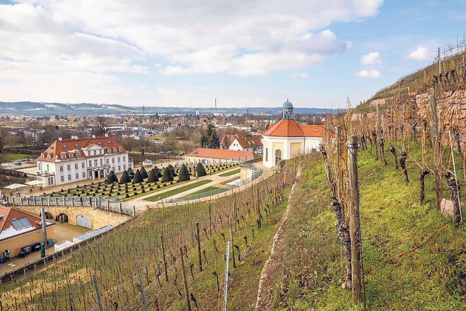 Auf Schloss Wackerbarth können Genießer an einem Winterbrunch teilnehmen.