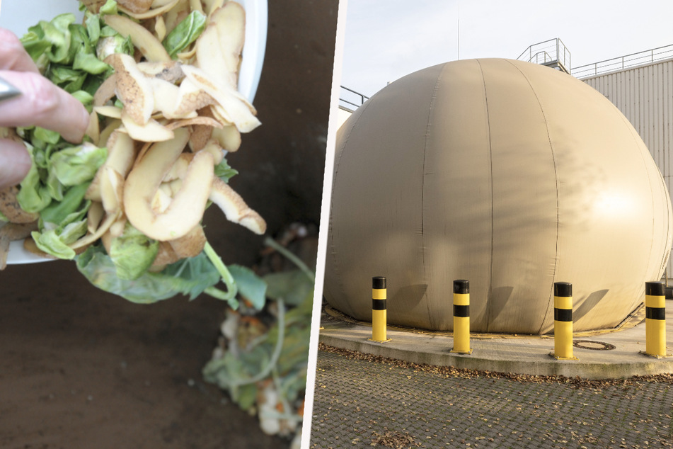 Von Biomüll zu Biogas: Wie aus altem Gemüse wertvolles Gas wird
