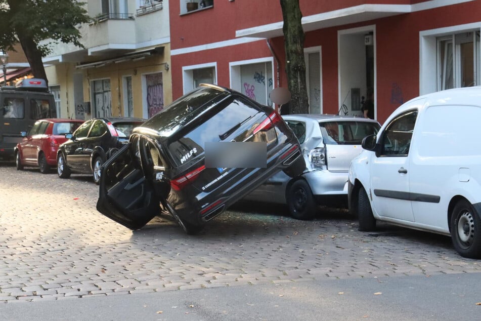 Wie es zu der ungewöhnlichen Situation kam, ist bislang unklar.