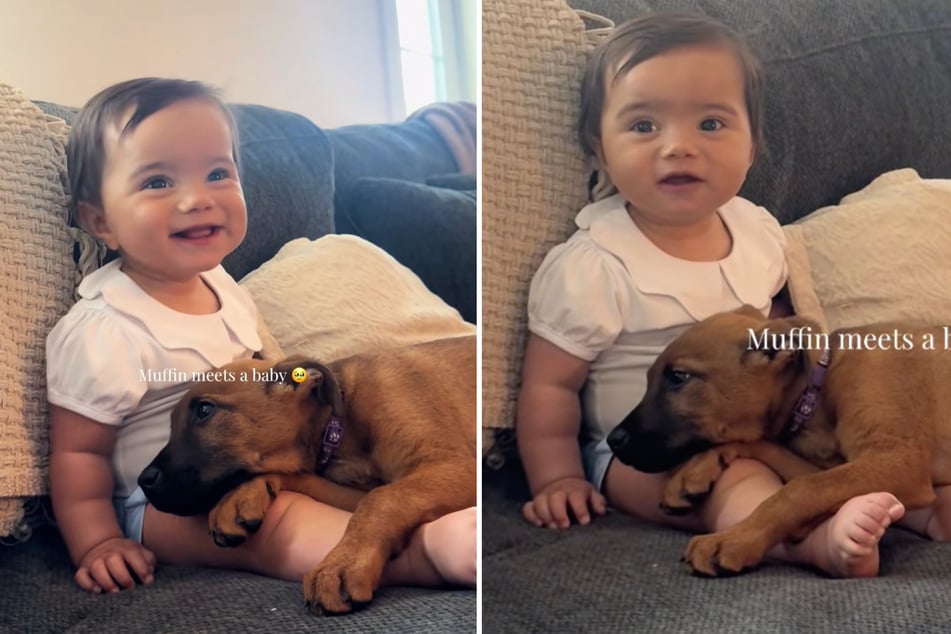 Welpe Muffin trifft auf ein zehn Monate altes Baby und fühlt sich sofort mit ihr verbunden.