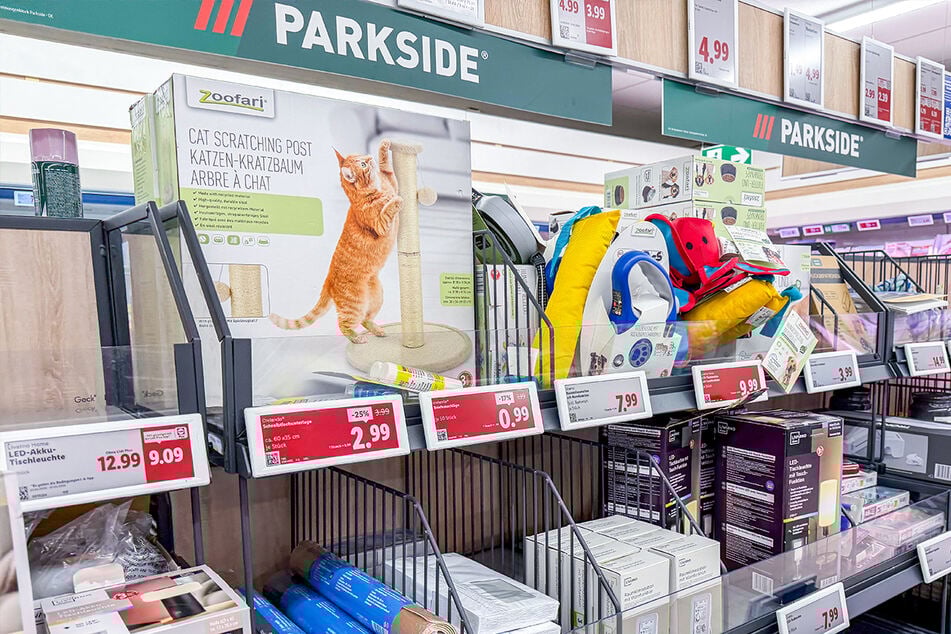 Lidl begeistert ab Donnerstag (26.2.) mit diesen tollen Angeboten