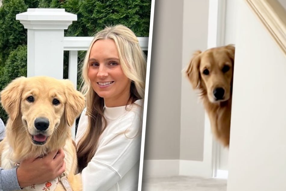 Golden-Retriever-Dame Miss Nova und ihr Frauchen sind ein Herz und eine Seele - meistens...